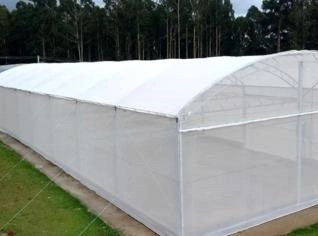Estufas Agrícolas Personalizadas e Eficientes