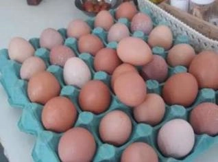 Ovo Caipira Agroecológico - Dúzia
