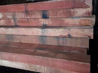 Compra de Madeira Serrada Nativa e Eucalipto