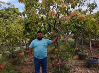Plantas Frutíferas Adultas - Variedade e Qualidade