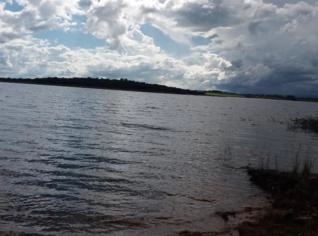 Sócio Investidor em Piscicultura de Tilápia em MG