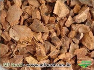 Casca de Coco Seco em Pedaços - Ótimo Preço