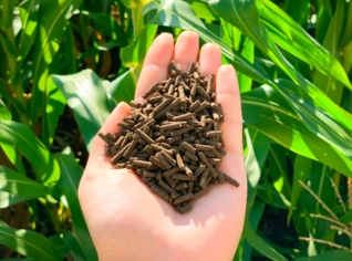 Adubo Orgânico Premium - Cama de Frango, Alta Performance