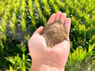Fertilizante Orgânico Classe A - Pellet Peneirado