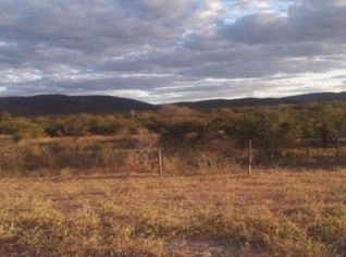 Fazenda de 5.000 HA em Ibotirama - Oportunidade de Investimento