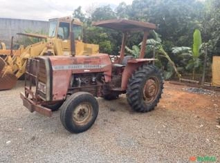Trator MF 265 - Ano 76 - Limeira