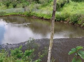 Propriedade com Fruteiras em Pernambuco