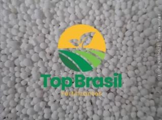 URÉIA 46% - Ponta Grossa