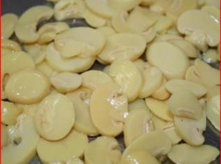 Cogumelos Champignon Frescos Direto do Produtor