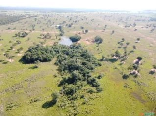 Fazenda 1.220 ha para Pecuária e Lavoura em Miranda-MS