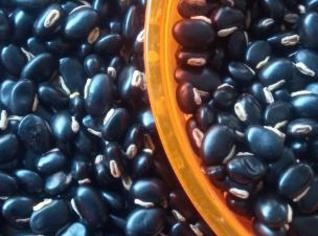 Mucuna Preta para Adubação Verde