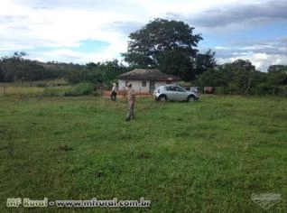Fazenda 1.366 Ha em Chapada Gaúcha/MG - Excelente Oportunidade
