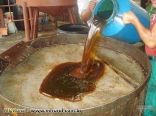 Compra de Óleo Vegetal e Animal - Pagamento à Vista