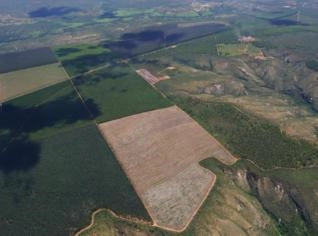 Fazenda em Minas para Arrendamento
