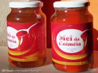 Mel de Flores Silvestres da Mata Atlântica