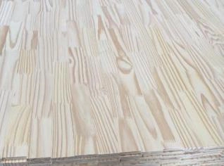 Painel de Pinus 12mm - Resistente e Versátil