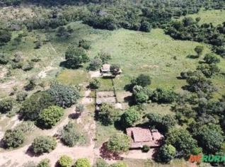 Fazenda 681 ha em São João d