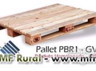 Pallets Novos e Usados – Compra e Venda GVP