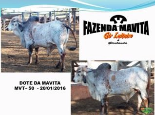 Dote da Mavita - Filho do Renomado CA Sansão