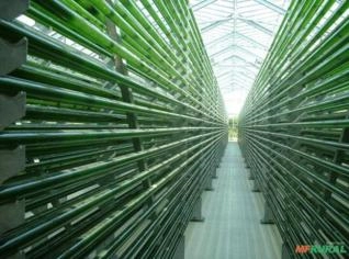 Investimento em Projetos Agroindustriais em MG