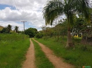 Sítio para Piscicultura em Leopoldina com 22,3 ha