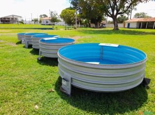 Bebedouro Fido 750L para Gado Nelore