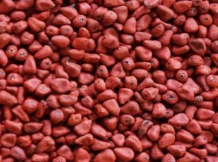 Semente de Urucum In Natura - Antioxidantes Naturais