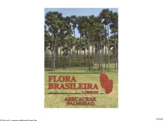 Flora Brasileira: Palmeiras Nativas