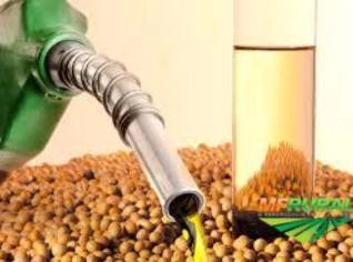 Óleo e Gordura Vegetal para Biodiesel e Revenda