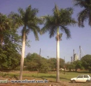 Depoimento de anúncio vendido