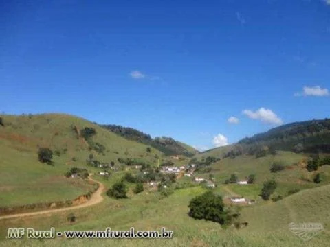 Fazenda no Sul de Minas - MG