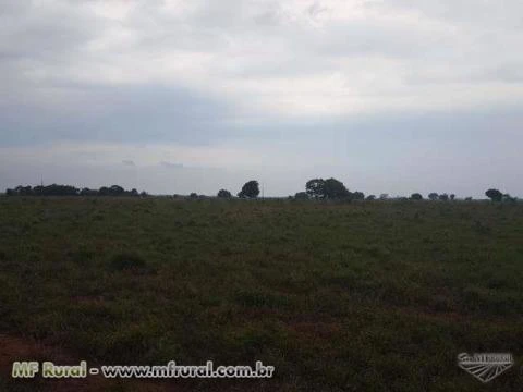 fazenda 1500 hectares Redenção PA