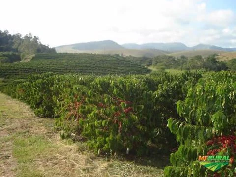 Fazenda 20.000 hectares em Cocos - Bahia