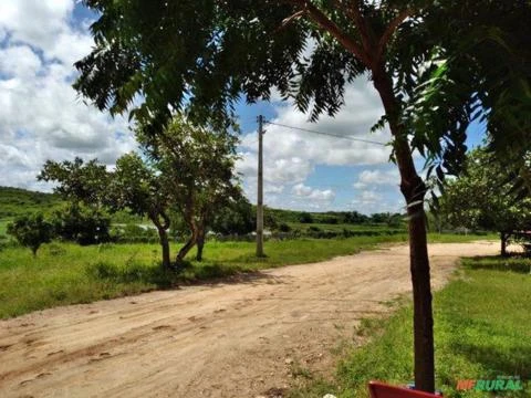 Fazenda 819ha, c/ benfeitorias, Araçoiaba/CE