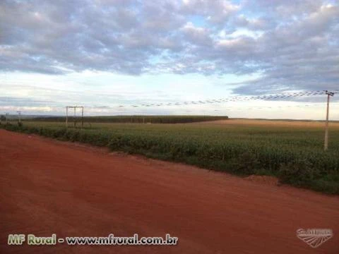 Vendo fazenda em município de Formoso/MG