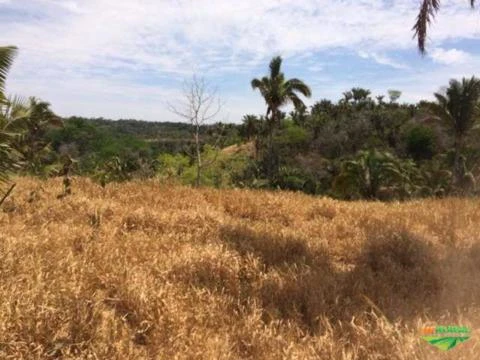 Fazenda na Região de Recursolândia, Tocantins