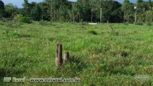 Fazenda 500ha no Pará a 50km de Belém