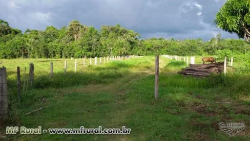 Fazenda 500ha no Pará a 50km de Belém