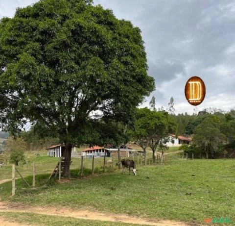 Excelente propriedade rural com 67,7 hectares, Região do Vale do Paraíba, São Paulo.