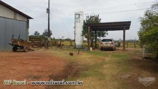 Fazenda com 184 Ha a 60km de Brasília no Município de Cocalzinho - GO