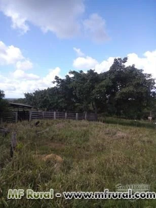 Fazenda de 480 ha para criação de gado com pastagem