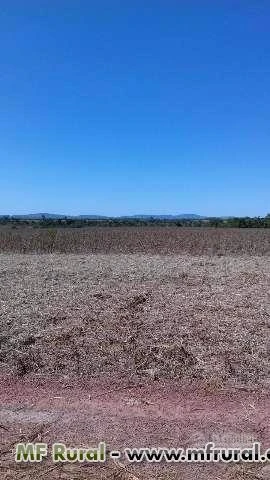 Fazenda no Sul do Pará