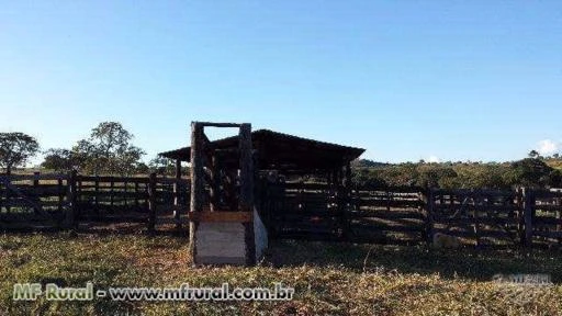 Fazenda 31 Alqueires a 25 KM de Aragoiânia e 50 KM de Goiânia