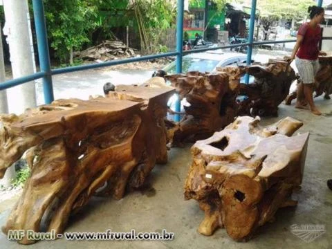 Mesa de centro madeira rustica tronco raiz demolição