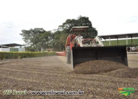 FAZENDA - 201,73 hectares - REGIÃO BOA ESPERANÇA (MG)