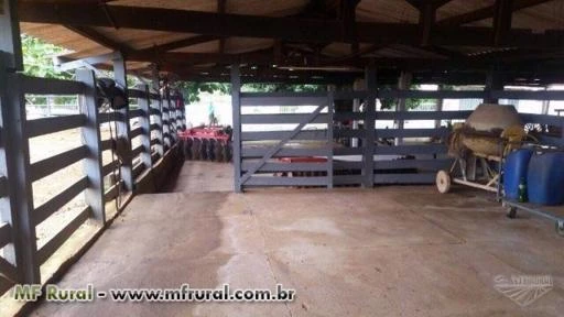 Fazenda em Pirenópolis 48,36 alqueires
