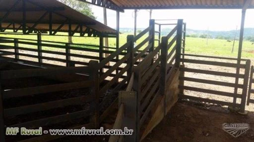 Fazenda em Pirenópolis 48,36 alqueires