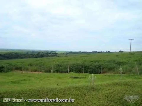 Fazenda para Pecuária e Lavoura Região de Echaporã-SP