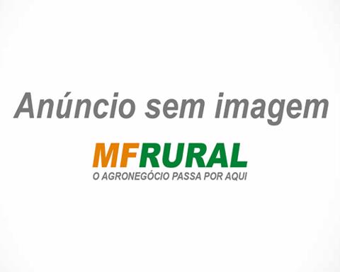 Ventoinha Industrial 10 cv Alta Pressão Caldeira - C7076