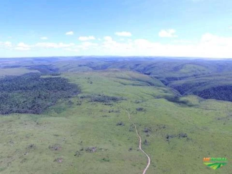 Terreno 1640 hectares em São João da aliança goias